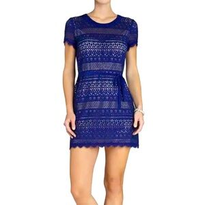BCBG Maxazria Darlita Deep Royal Blue Lace Sheath Dress Size 10 NWOT​